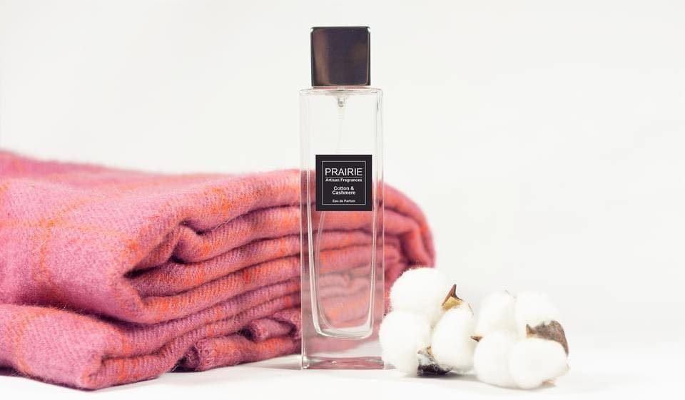 Cotton & Cashmere