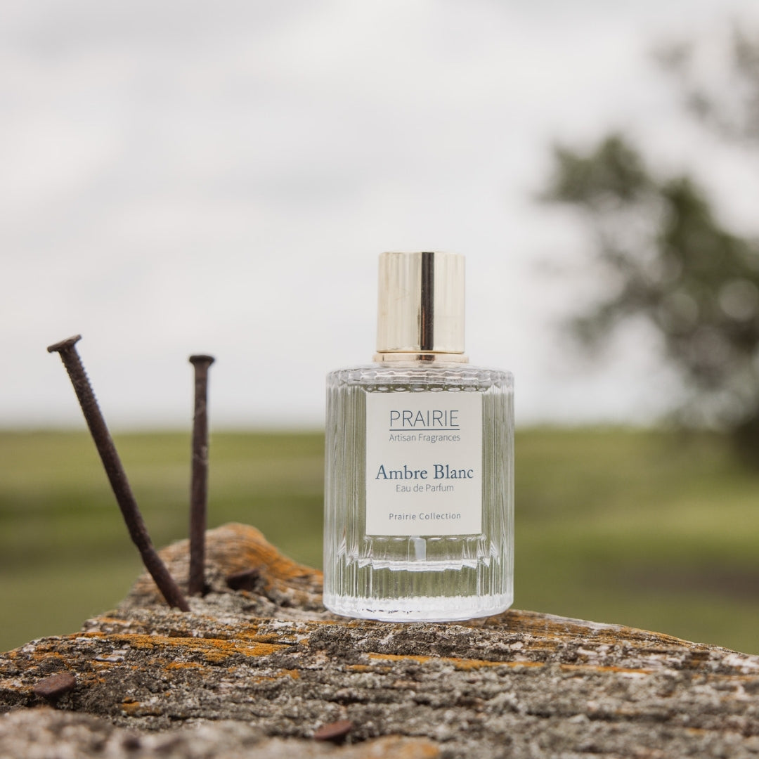 香水(ユニセックス) AMBRE BLANC Eau de Parfum 50ml Ambre Blanc Eau de Parfum – Prairie Artisan Fragrances